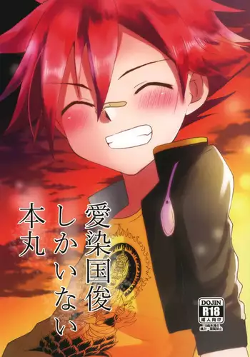 (Chou Senka no Toki 2017) [Peko Renmei (Aquajet Kosuke)] Aizen Kunitoshi shika Inai Honmaru (Touken Ranbu)