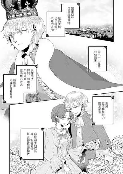 少年王と年上王妃 2 中文翻譯