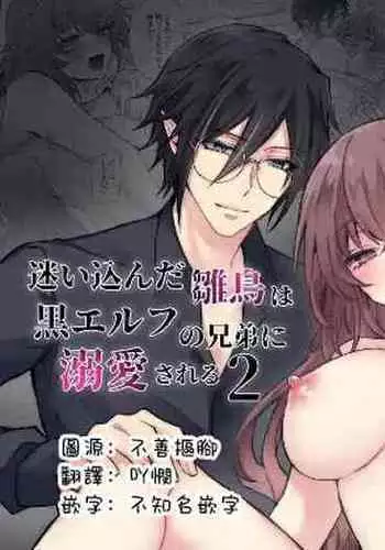 Mayoikonda hinadori wa kuro Erufu no kyodai ni dekiai sa reru | 误入的雏鸟被黑妖精兄弟溺爱 2