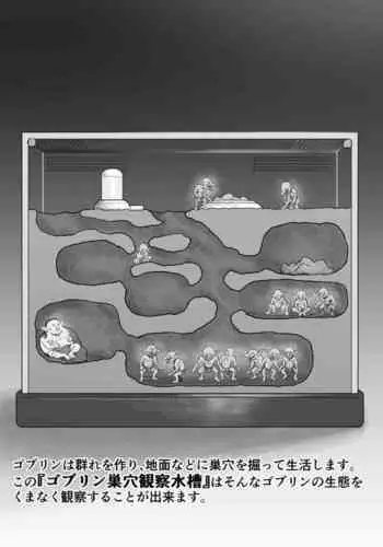 Goblin no Suana ni Mesu o Irete Kansatsu Shita Kekka ga Yaba Sugita