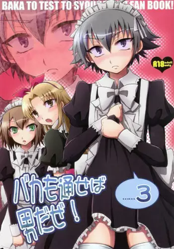 [HEATWAVE (Yuuhi)] Baka mo Toose ba Otoko daze! 3 (Baka to Test to Shoukanjuu)