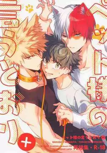 Pet-sama no Iu toori +