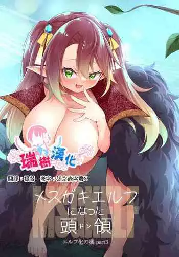 Mesugaki Elf ni Natta Don Elf-ka no Kusuri part 3 | 變成雌小鬼妖精的頭領 妖精化之藥 part3
