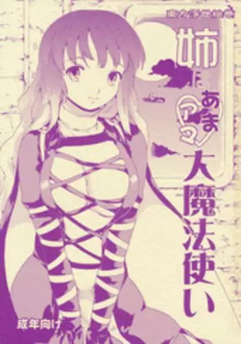 (C77) [Paranoia Cat (Fujiwara Shunichi)] Touhou Ukiyo Emaki - Ane wa Ama Ama Daimahoutsukai (Touhou Project)