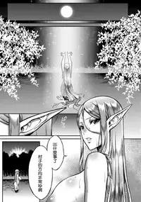 (C93) [H.B.A (Usagi Nagomu)] Koukon no Shou Elf [Chinese] [無邪気漢化組]
