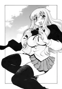[Studio Wallaby (Nagisa Minami)] Zero no Sannin (Zero no Tsukaima) [English] [CGrascal]