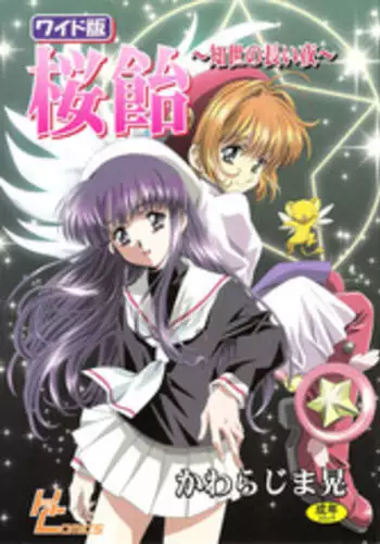 (C68) [Henreikai (Kawarajima Koh)] Sakura Ame Wide ban ~Tomoyo no Nagaiyoru~ (Card Captor Sakura)