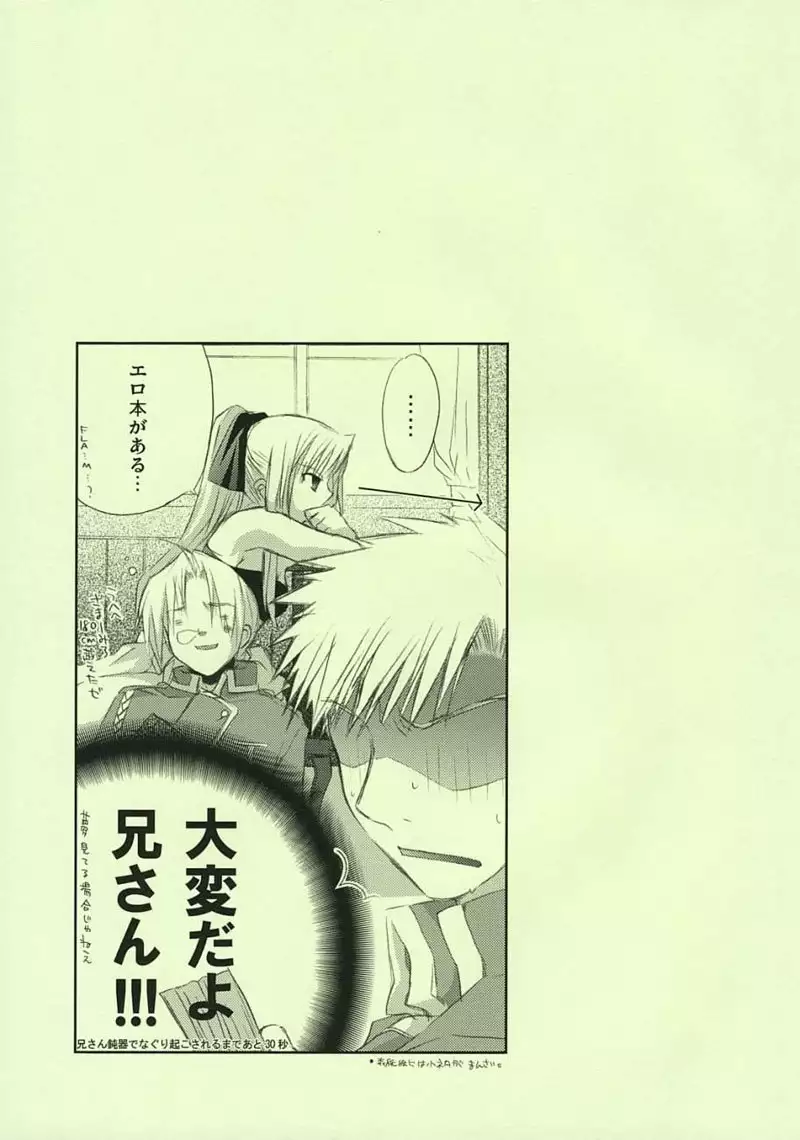 Fullmetal Alchemist - Fragment of Future