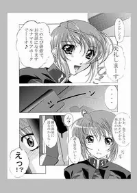 種がんだむ (ガンダムSEED DESTINY)